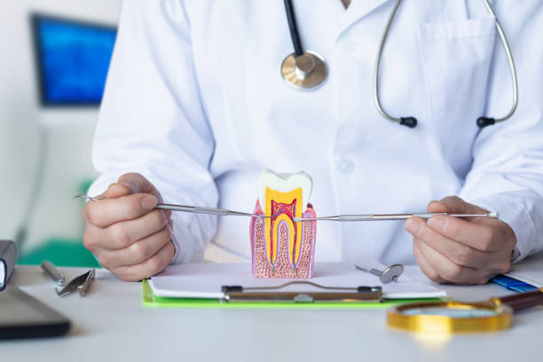 Best Emergency Dental Care for Abscessed Tooth in Lakeport, CA